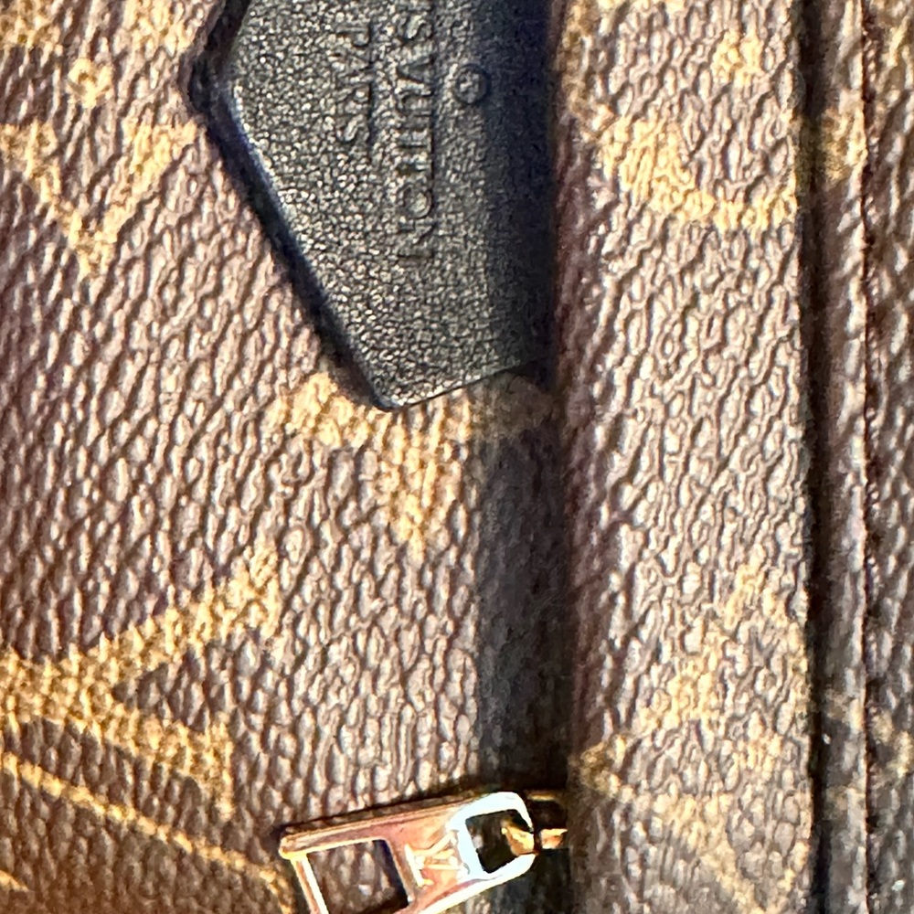 Louis Vuitton Palm Springs Mini - Picture 8 of 10